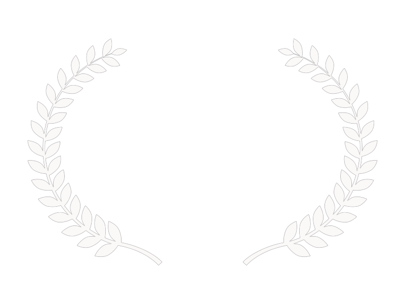 Best Animation Fam Fest Film Festival Broken Wing