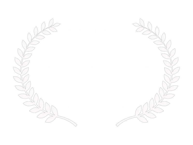 Best Animation Fam Fest Film Festival Broken Wing