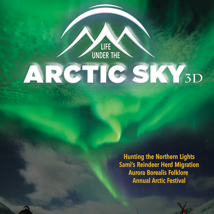 Life Under the Arctic Sky Poster