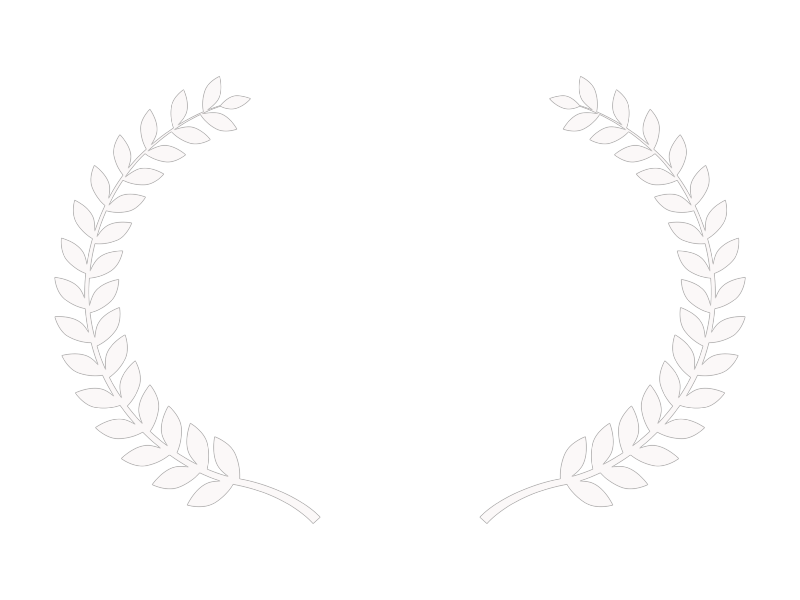 New Jersey Film Festival Best Animated Film Winner Broken Wing