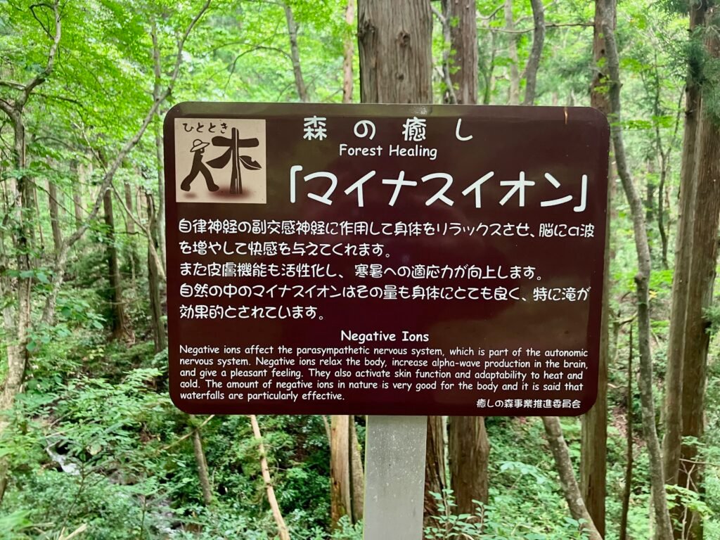 Forest Healing - A Blueprint for Immersive Design 2 A waterfall generating negative ions.