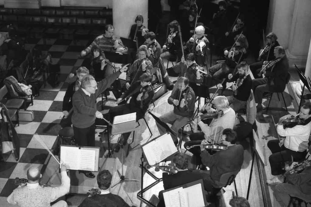 business operations consultant