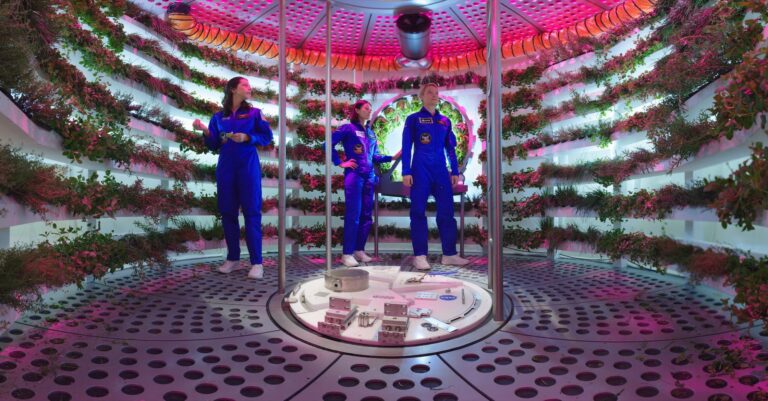 The hydroponics bay